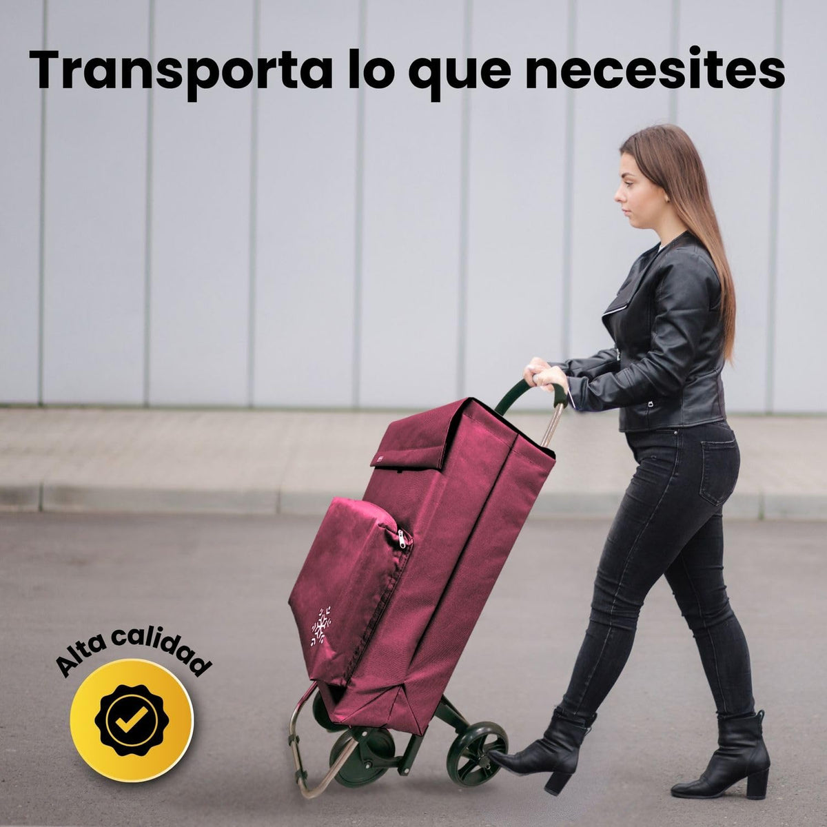 Carro de la Compra de 50L con Compartimento Refrigerante | Carrito Compra de 4 y 2 Ruedas Ideal para Supermercado (Requiere Montaje)