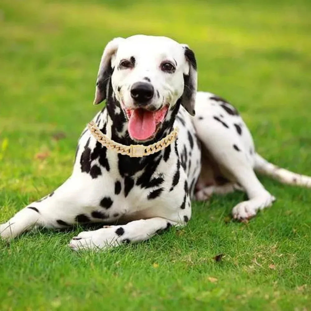 Collar de Cadena Cubana para Perro, Acero Inoxidable, Hebilla de Seguridad Ajustable, Collar para Pasear Perros de Razas Pequeñas y Medianas