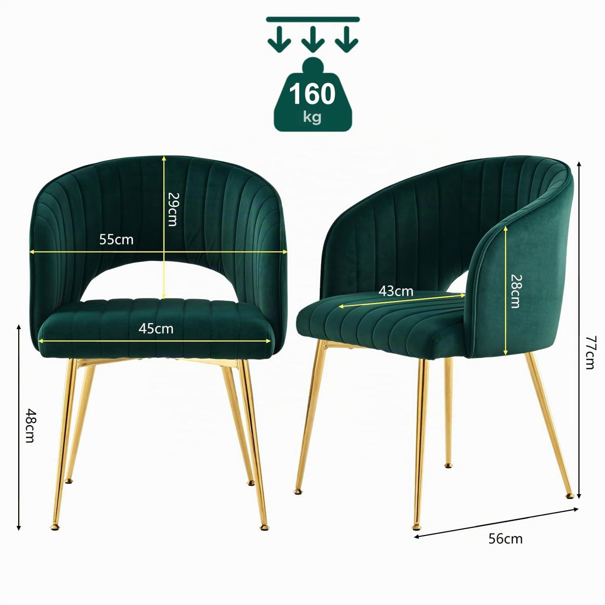 Juego de 6 sillas de comedor de terciopelo, sillas tapizadas con reposabrazos, patas doradas, sillas de cocina, para salón, dormitorio, oficina (6, blanco crema)