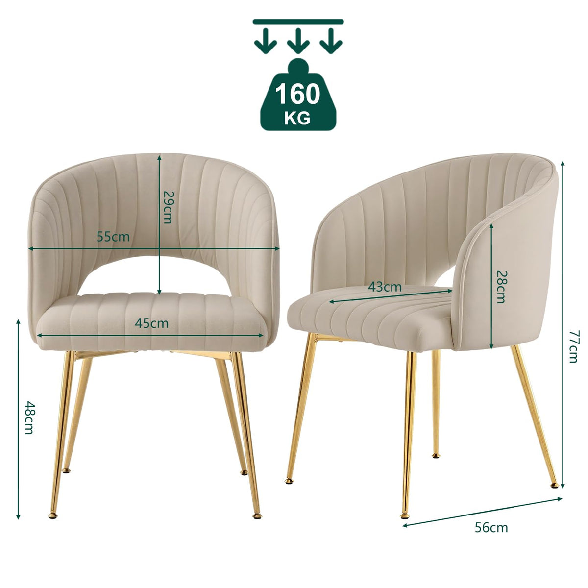 Juego de 6 sillas de comedor de terciopelo, sillas tapizadas con reposabrazos, patas doradas, sillas de cocina, para salón, dormitorio, oficina (6, blanco crema)
