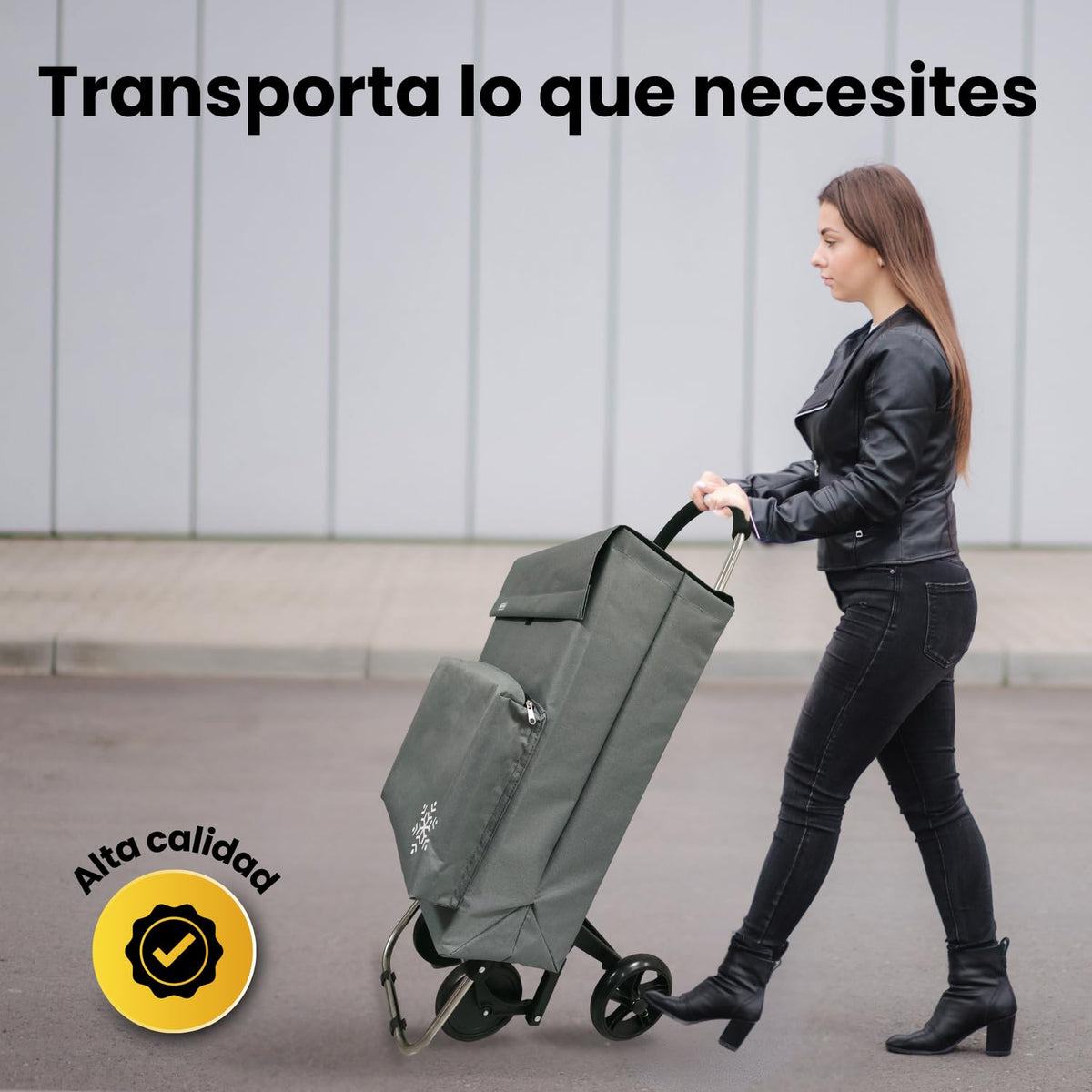 Carro de la Compra de 50L con Compartimento Refrigerante | Carrito Compra de 4 y 2 Ruedas Ideal para Supermercado (Requiere Montaje)