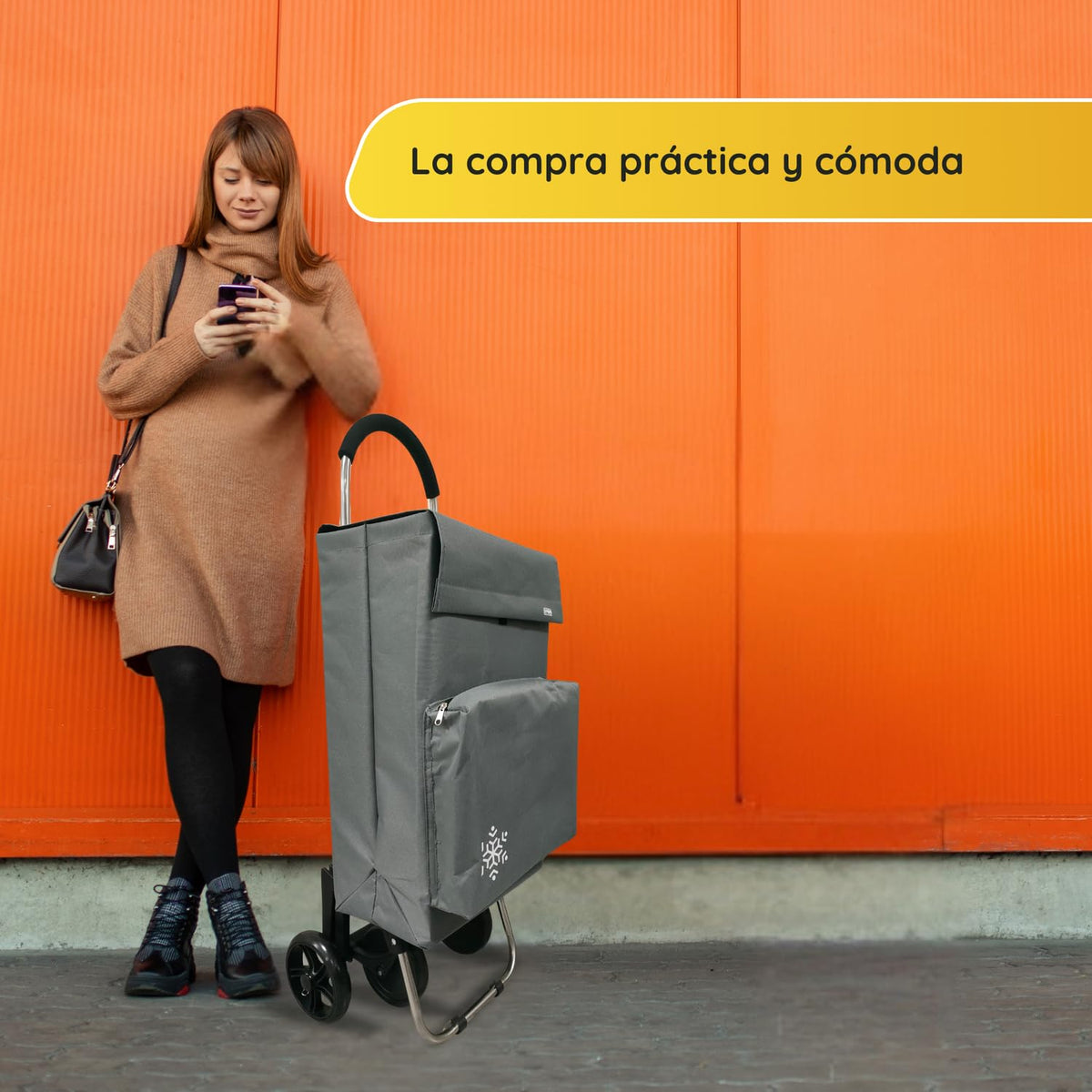 Carro de la Compra de 50L con Compartimento Refrigerante | Carrito Compra de 4 y 2 Ruedas Ideal para Supermercado (Requiere Montaje)