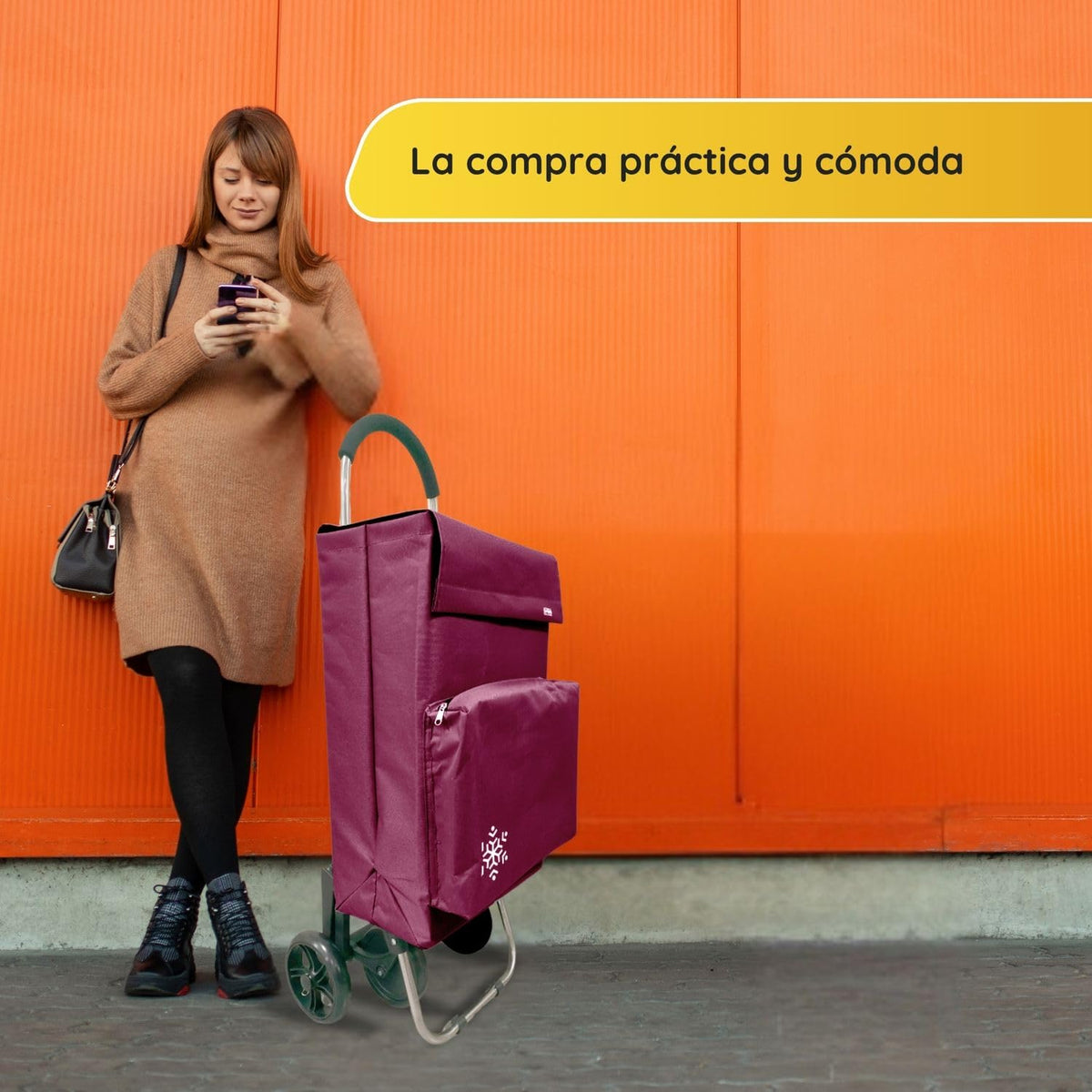 Carro de la Compra de 50L con Compartimento Refrigerante | Carrito Compra de 4 y 2 Ruedas Ideal para Supermercado (Requiere Montaje)