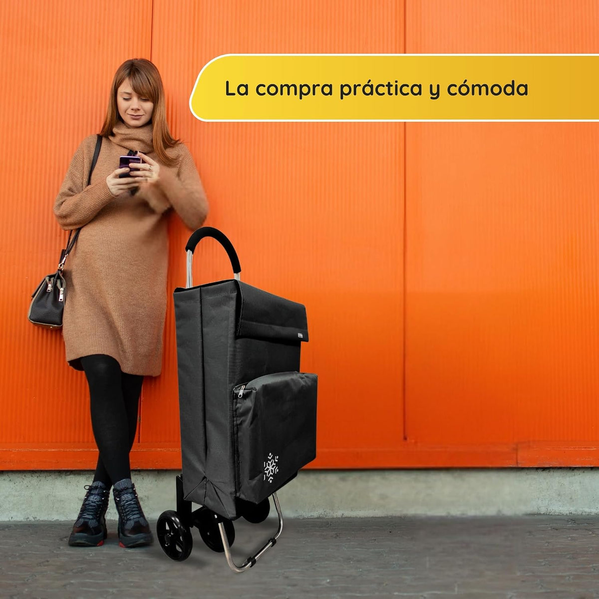 Carro de la Compra de 50L con Compartimento Refrigerante | Carrito Compra de 4 y 2 Ruedas Ideal para Supermercado (Requiere Montaje)
