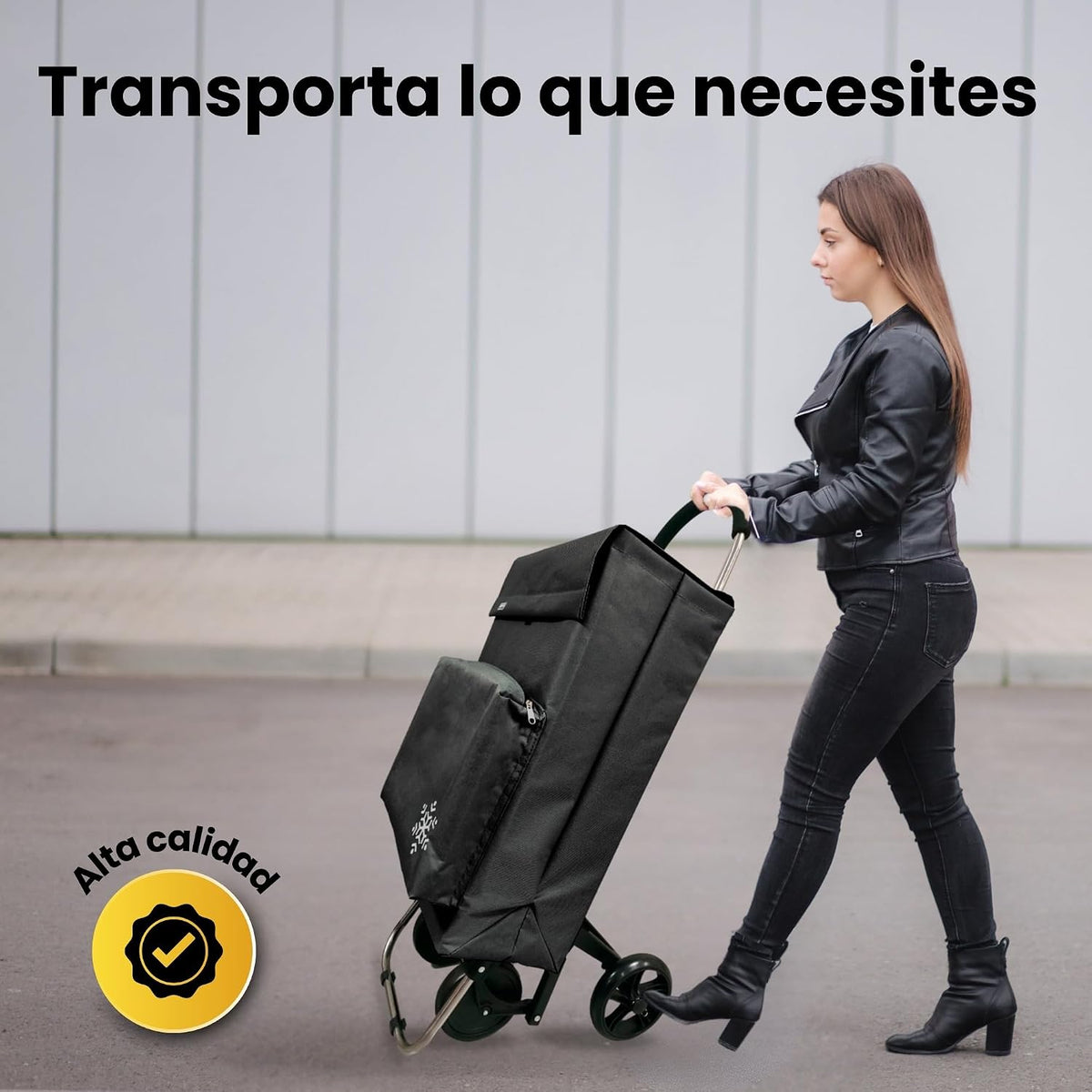 Carro de la Compra de 50L con Compartimento Refrigerante | Carrito Compra de 4 y 2 Ruedas Ideal para Supermercado (Requiere Montaje)