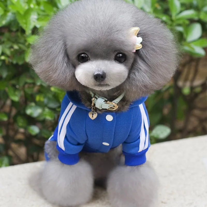 Ropa para perros Adidog, monos gruesos para perros, ropa de invierno para perros pequeños, mono para cachorros, traje de chándal para Yorkie