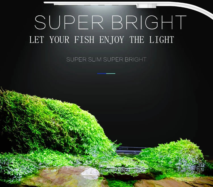 Luz LED súper delgada para acuario, iluminación para plantas, luz de cultivo de 5W/10W/15W, iluminación para plantas acuáticas, lámpara con Clip impermeable para pecera