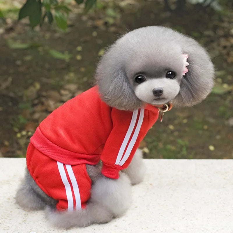 Ropa para perros Adidog, monos gruesos para perros, ropa de invierno para perros pequeños, mono para cachorros, traje de chándal para Yorkie