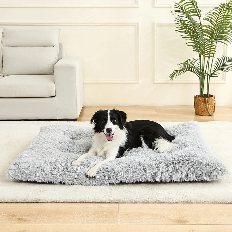 Camas suaves para perros, casa de felpa larga y suave, la mejor cama para perros, cesta para perros, productos para mascotas, cojín, cama para gatos, estera para gatos, sofá para dormir para animales