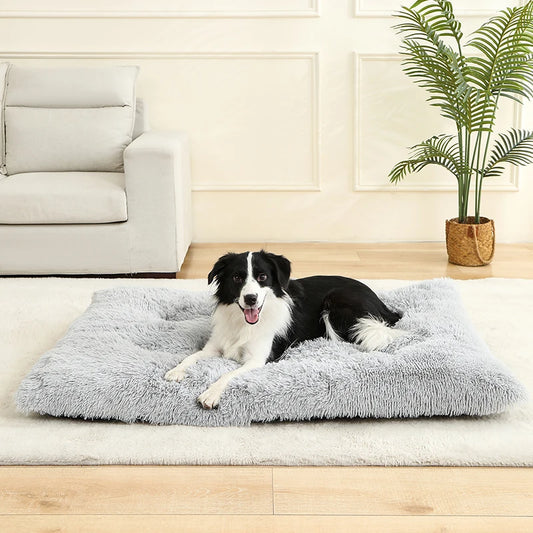 Camas suaves para perros, casa de felpa larga y suave, la mejor cama para perros, cesta para perros, productos para mascotas, cojín, cama para gatos, estera para gatos, sofá para dormir para animales