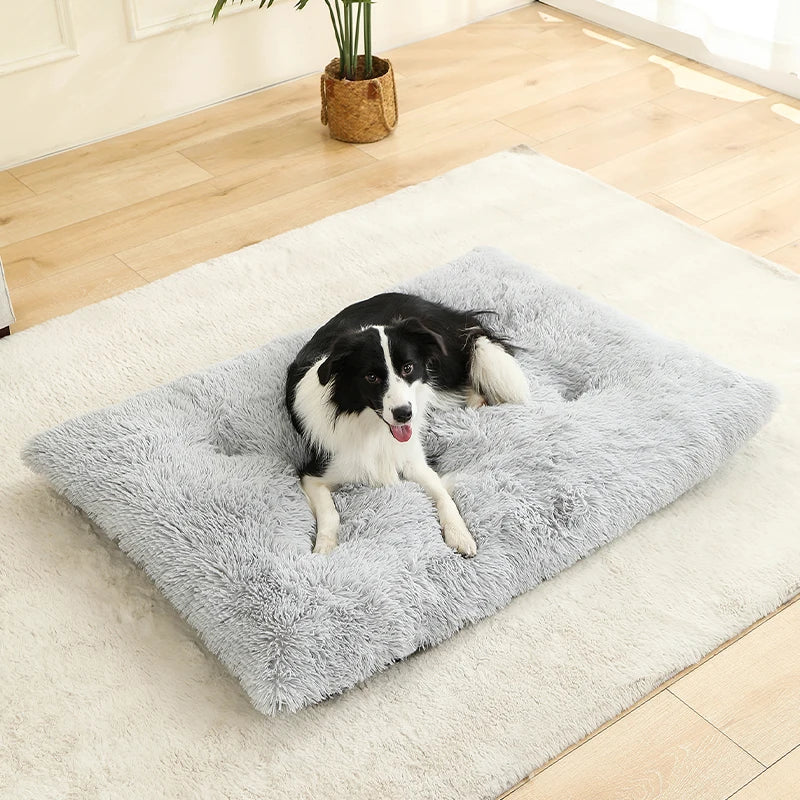 Camas suaves para perros, casa de felpa larga y suave, la mejor cama para perros, cesta para perros, productos para mascotas, cojín, cama para gatos, estera para gatos, sofá para dormir para animales