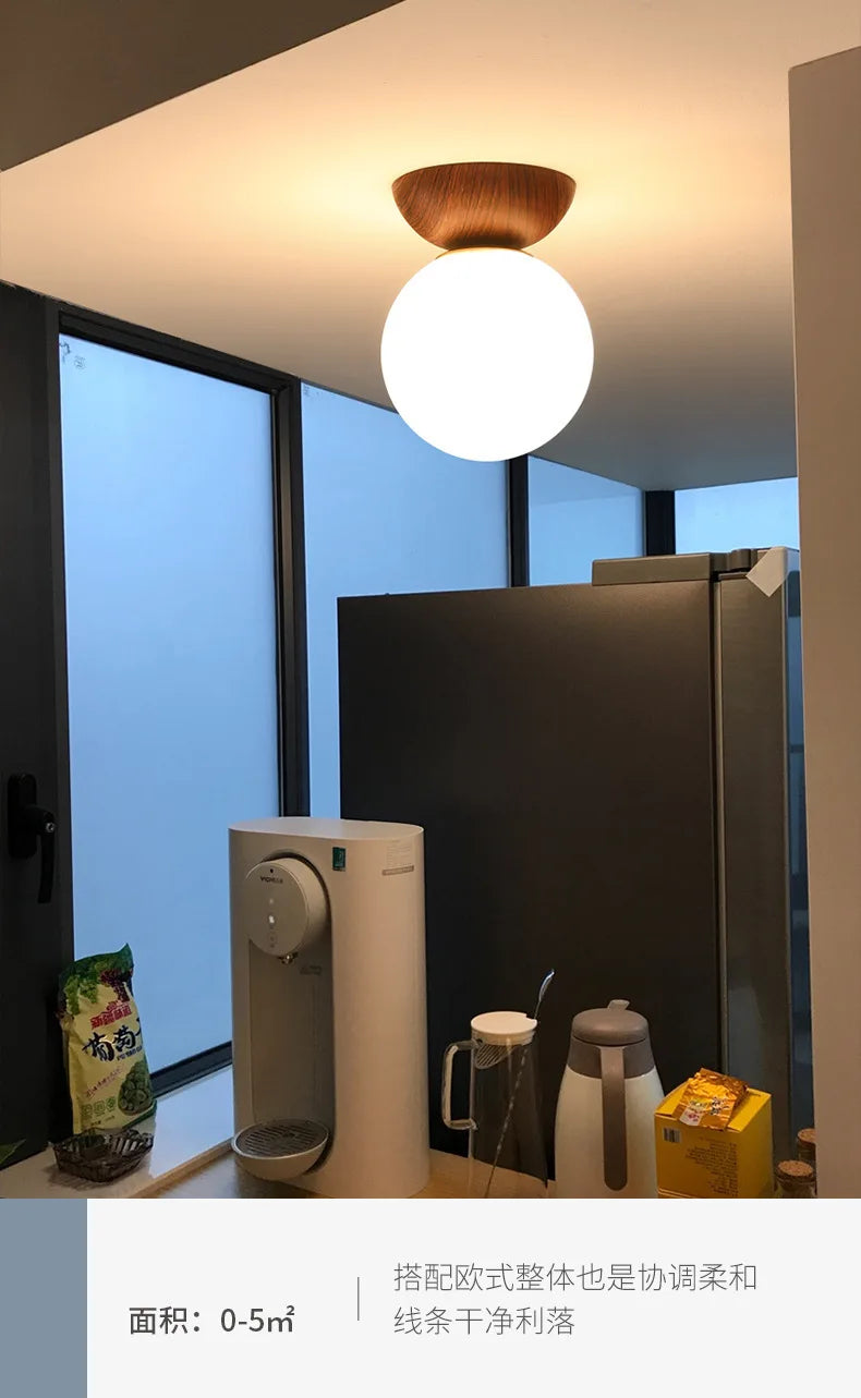 Lámparas para sala de estar, luz Led de techo para puerta de entrada japonesa, pasillo de aire, balcón nórdico, bola redonda