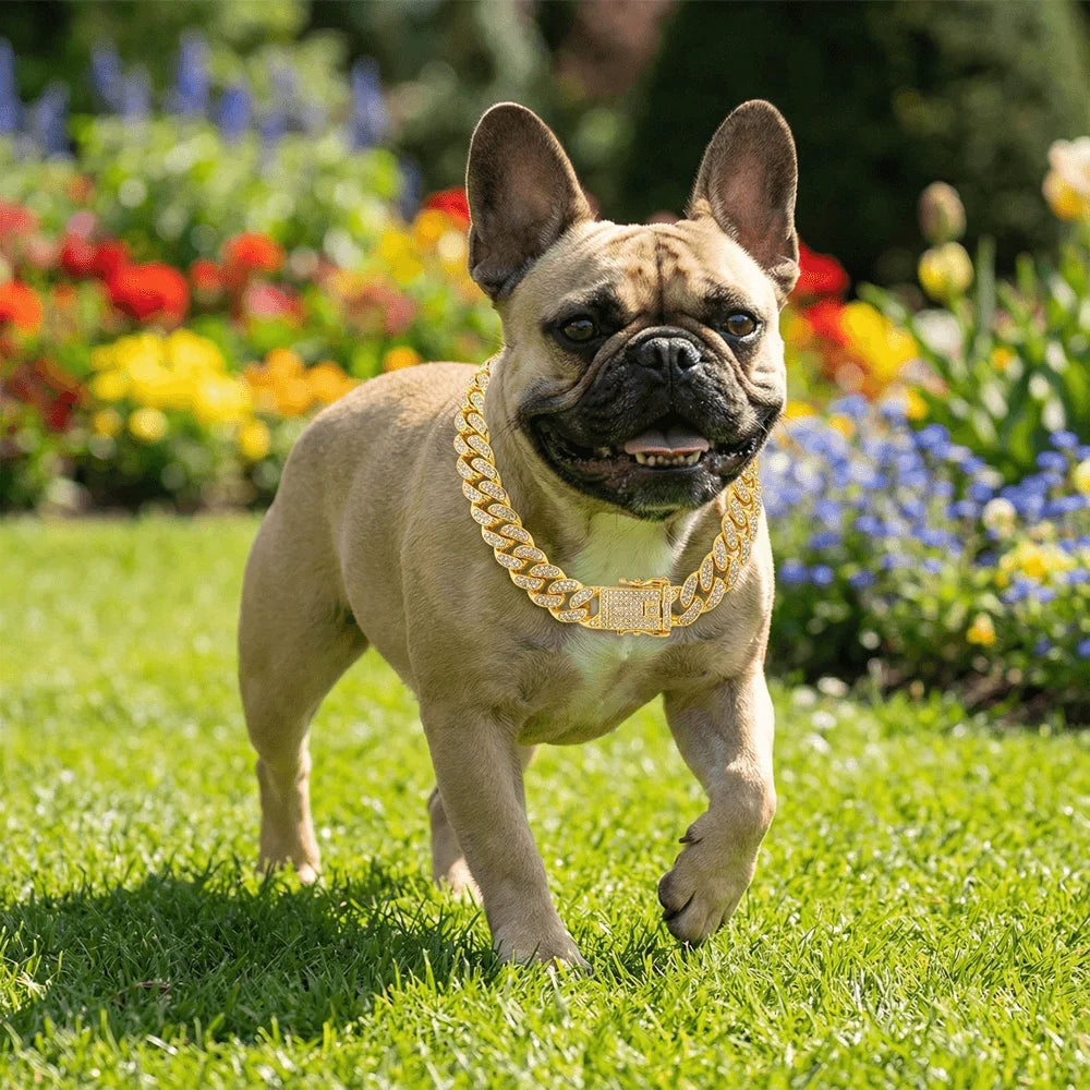 Collar de perro de Hip Hop de lujo, cadena cubana de acero inoxidable en tono dorado, joyería duradera para mascotas con incrustaciones de diamantes para caminar a diario
