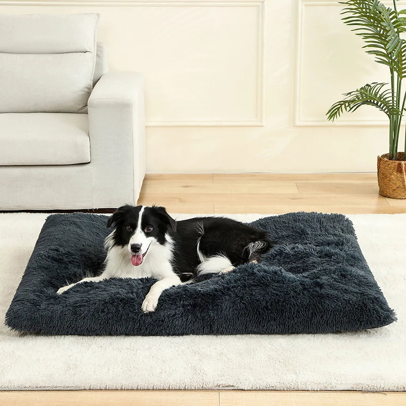 Camas suaves para perros, casa de felpa larga y suave, la mejor cama para perros, cesta para perros, productos para mascotas, cojín, cama para gatos, estera para gatos, sofá para dormir para animales