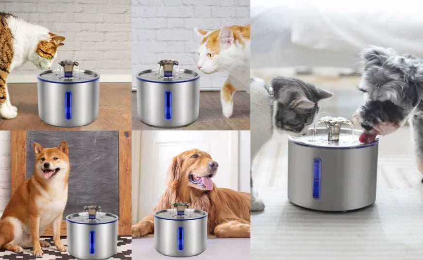 Fuente de agua automática para mascotas de 2,5 L con luz LED, ventana visible y antideslizante, dispensador de agua de filtración múltiple para perros y gatos