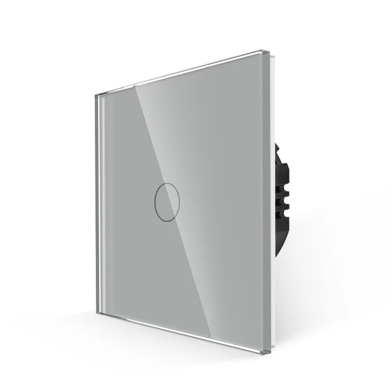 Bingoelec-interruptor de luz inteligente gris y enchufe de pared WiFi con Panel de cristal, interruptores con enchufes para mejorar el hogar