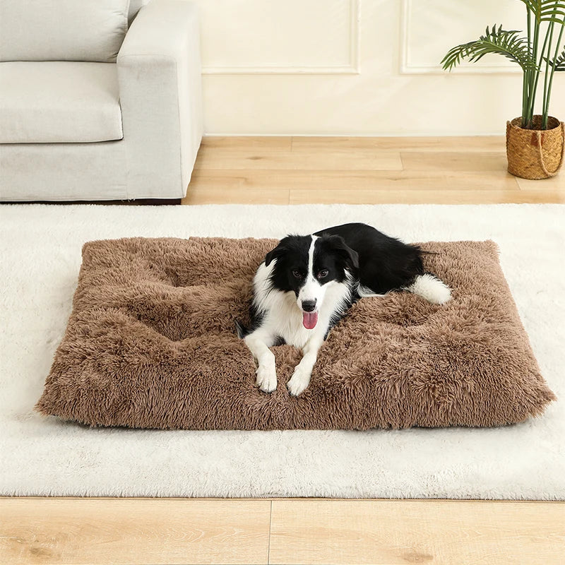 Camas suaves para perros, casa de felpa larga y suave, la mejor cama para perros, cesta para perros, productos para mascotas, cojín, cama para gatos, estera para gatos, sofá para dormir para animales