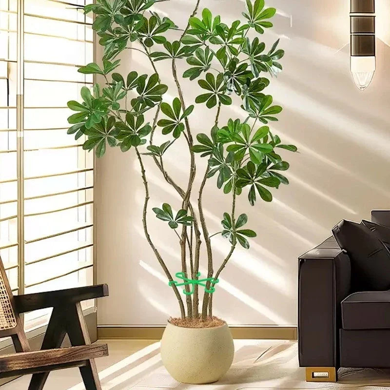 Marco de soporte antienredos para plantas de 4 piezas, soporte para plantas verdes/marco de fijación hidropónico para flores/marco para tallos de plantas/marco para macetas