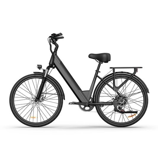 URLIFE E26 E-Bike für Erwachsene 250W Motor Elektrofahrrad 48V 10.4AH 26 Zoll Reifen City Commuter E-Bike