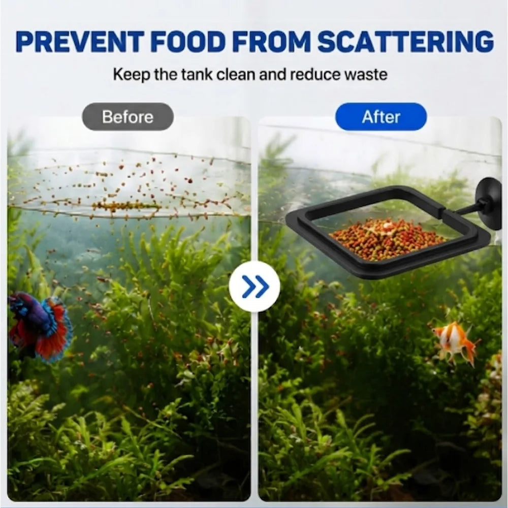 Alimento en Pellets para Peces con Anillo Flotante Cuadrado, Set para Betta y Peces Dorados, Potenciador de Color Nutritivo, Combo ZORILYNX Plus X2