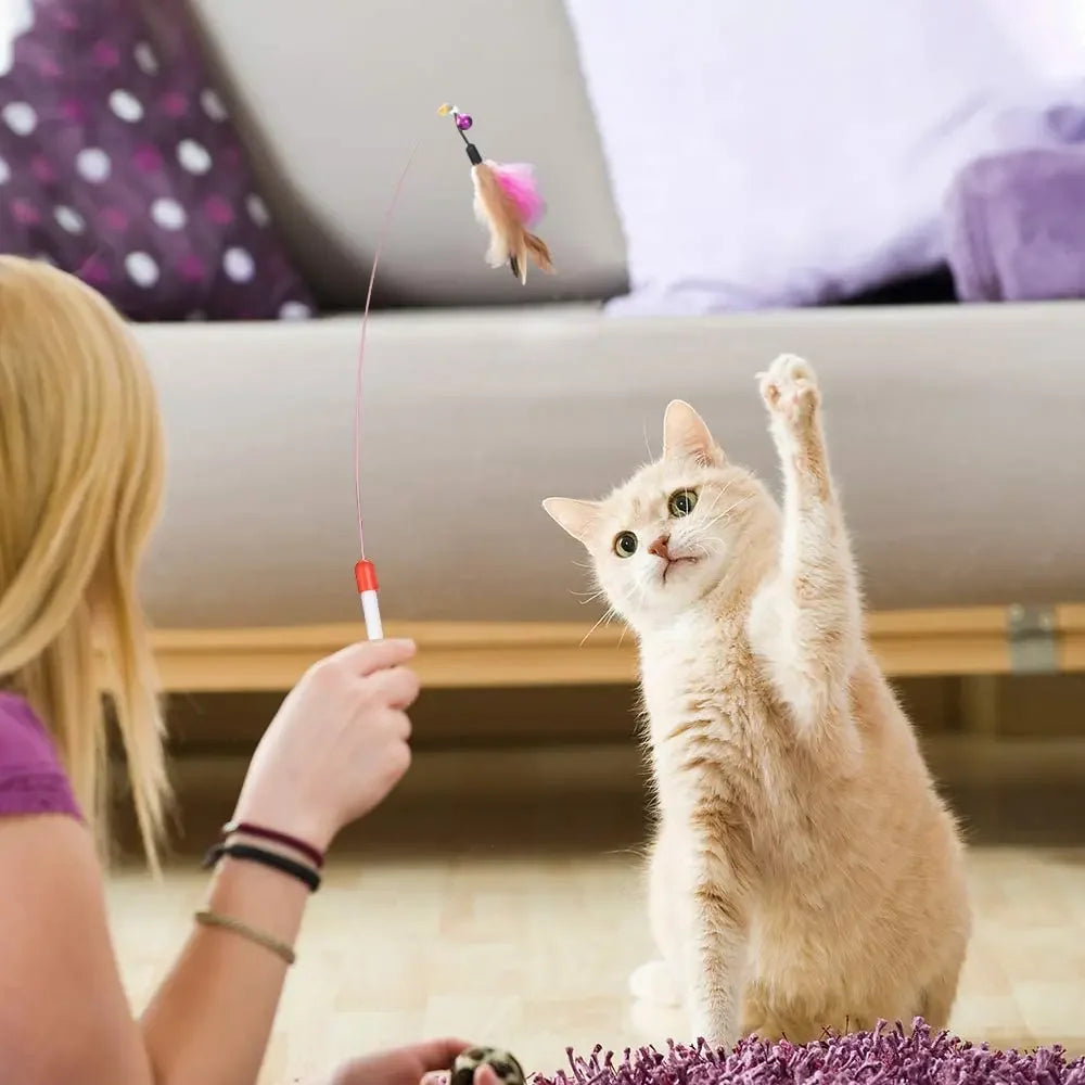 Paquete Variado de Juguetes para Gatitos - Set Combinado de Juguetes para Gatos, Juguete Divertido para Gatos, Varita con Ratón de Sisal, Bola con Campana, Suministros para Gatos