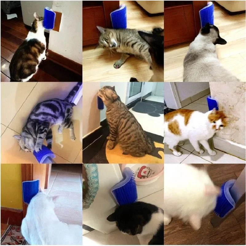 Peine de masaje para rascar gatos, cepillo para rascar esquinas con hierba gatera, peine para quitar mascotas para depilación, aseo