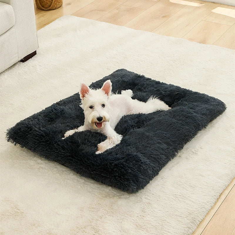 Camas suaves para perros, casa de felpa larga y suave, la mejor cama para perros, cesta para perros, productos para mascotas, cojín, cama para gatos, estera para gatos, sofá para dormir para animales