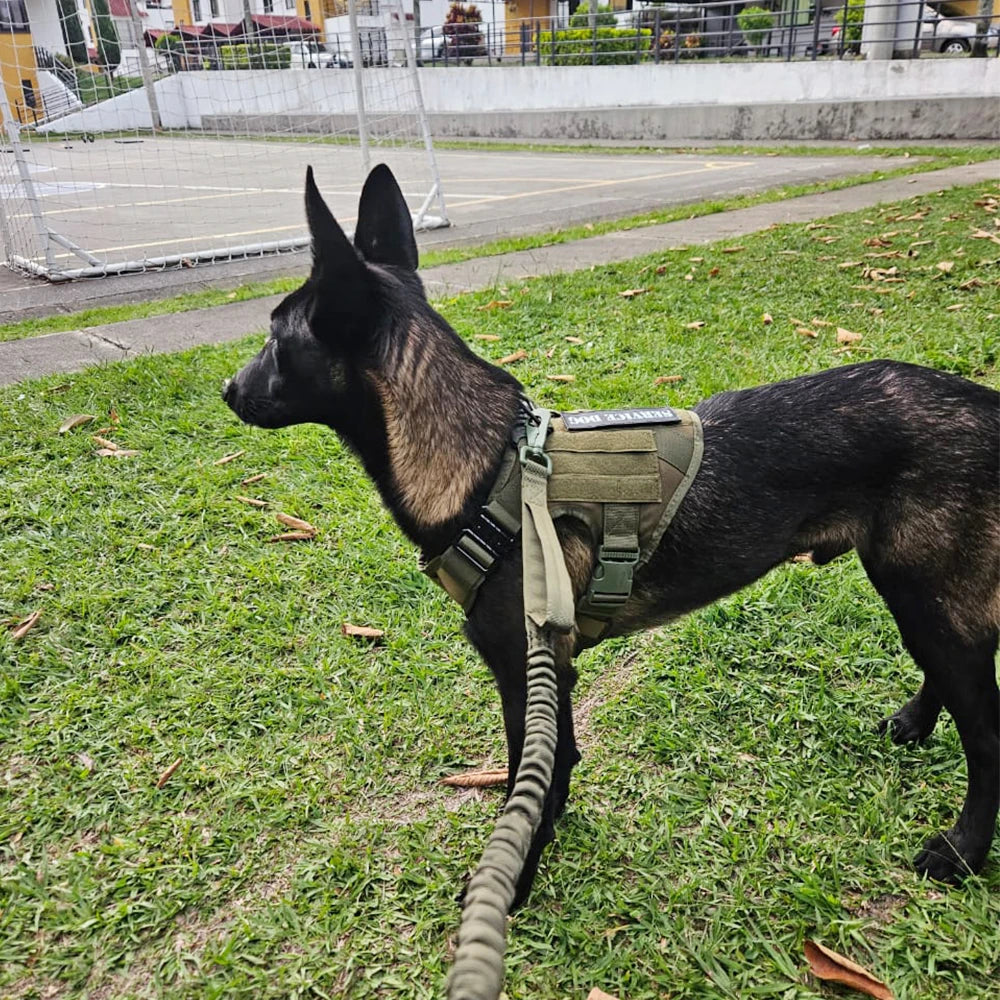 Arnés táctico para perros, conjunto de correa para perros grandes, arneses militares para entrenar, caminar, cazar, chaleco para mascotas, mango sin tirar, Malinois