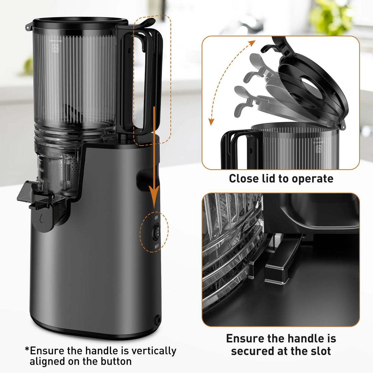 Extractor de Jugos Tolife de Presión en Frío y Masticación Lenta, con Boca Ancha, Vaso de 1000 ml, Silencioso y Fácil de Limpiar, para Frutas y Verduras