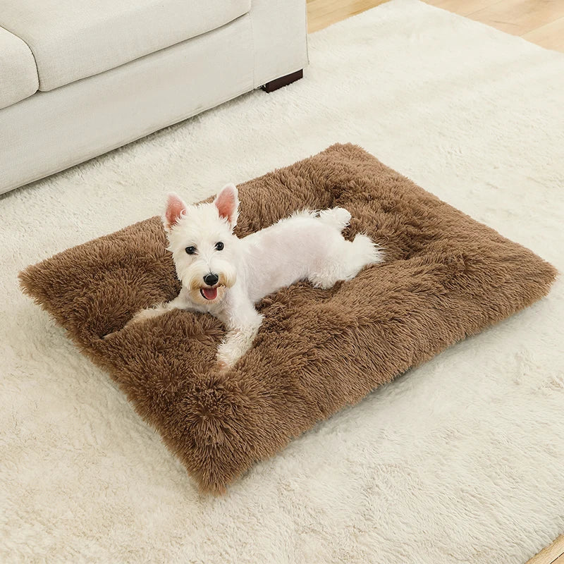Camas suaves para perros, casa de felpa larga y suave, la mejor cama para perros, cesta para perros, productos para mascotas, cojín, cama para gatos, estera para gatos, sofá para dormir para animales