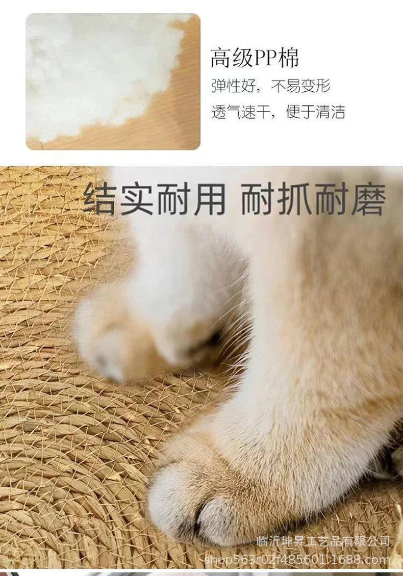 Cesta para gatos tejida de ratán con cojín suave, diseño de Donut redondo, nido para dormir cómodo y cálido para gatos y perros