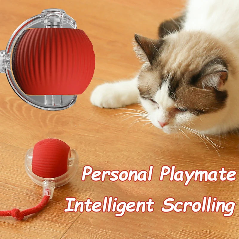 Nuevo Juguete Interactivo para Gatos, Pelota Rodante Automática con Cola Artificial, Recargable, Juguete Eléctrico Inteligente para Mascotas, Perros y Gatos, Imita Ratones