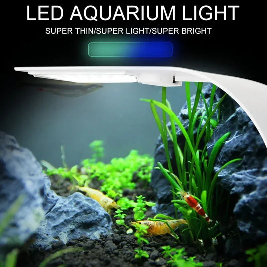 Luz LED para acuario y plantas acuáticas con clip impermeable — 5W / 10W / 15W