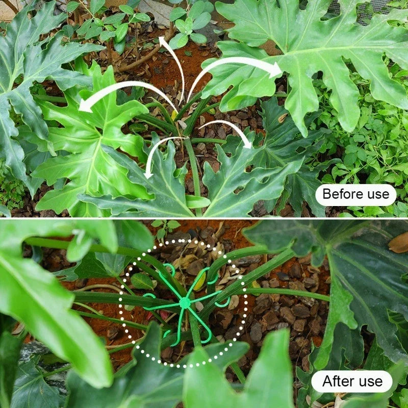 Marco de soporte antienredos para plantas de 4 piezas, soporte para plantas verdes/marco de fijación hidropónico para flores/marco para tallos de plantas/marco para macetas