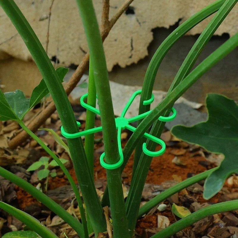 Marco de soporte antienredos para plantas de 4 piezas, soporte para plantas verdes/marco de fijación hidropónico para flores/marco para tallos de plantas/marco para macetas