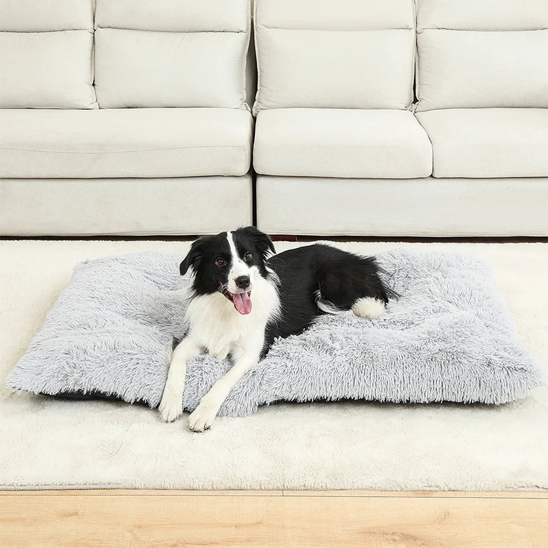 Camas suaves para perros, casa de felpa larga y suave, la mejor cama para perros, cesta para perros, productos para mascotas, cojín, cama para gatos, estera para gatos, sofá para dormir para animales