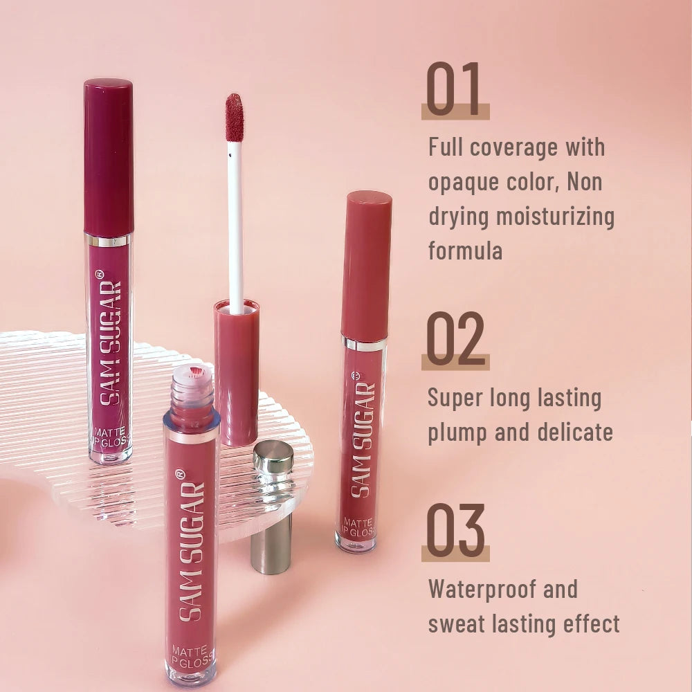 Kit de Labiales Mate Aterciopelados, Resistentes al Agua, Anti-Manchas, Aplicación Suave, Efecto de Maquillaje de Larga Duración