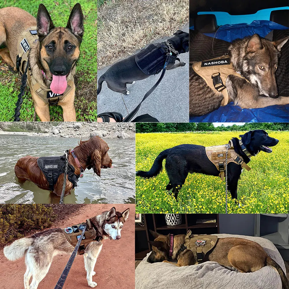 Arnés táctico para perros, conjunto de correa para perros grandes, arneses militares para entrenar, caminar, cazar, chaleco para mascotas, mango sin tirar, Malinois