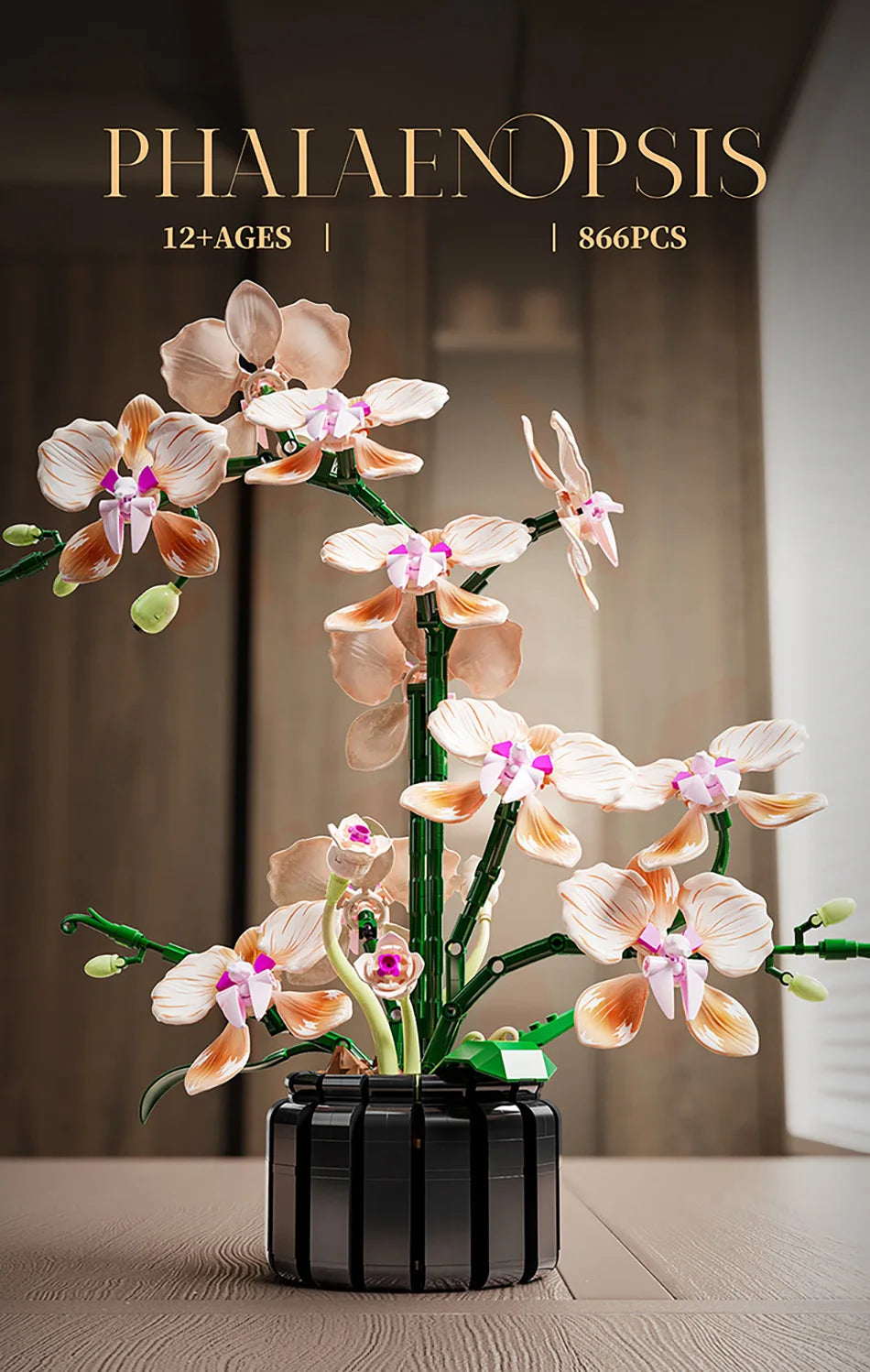 Orquídea creativa Cymbidium flores eternas planta en maceta bloques de construcción simulación Phalaenopsis DIY ladrillos juguetes regalo de San Valentín