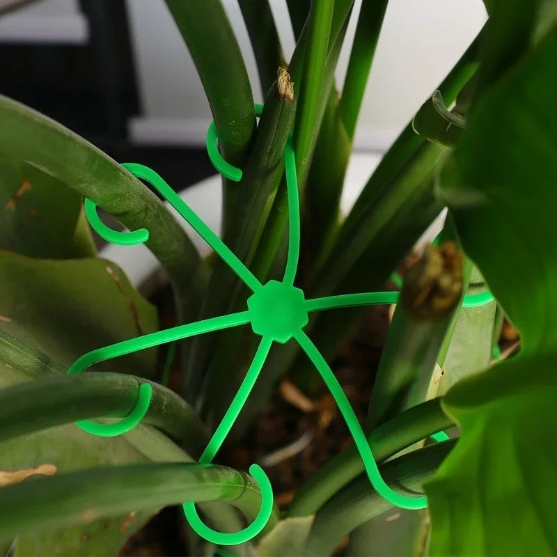 Marco de soporte antienredos para plantas de 4 piezas, soporte para plantas verdes/marco de fijación hidropónico para flores/marco para tallos de plantas/marco para macetas