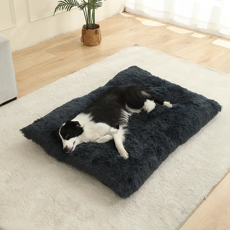 Camas suaves para perros, casa de felpa larga y suave, la mejor cama para perros, cesta para perros, productos para mascotas, cojín, cama para gatos, estera para gatos, sofá para dormir para animales