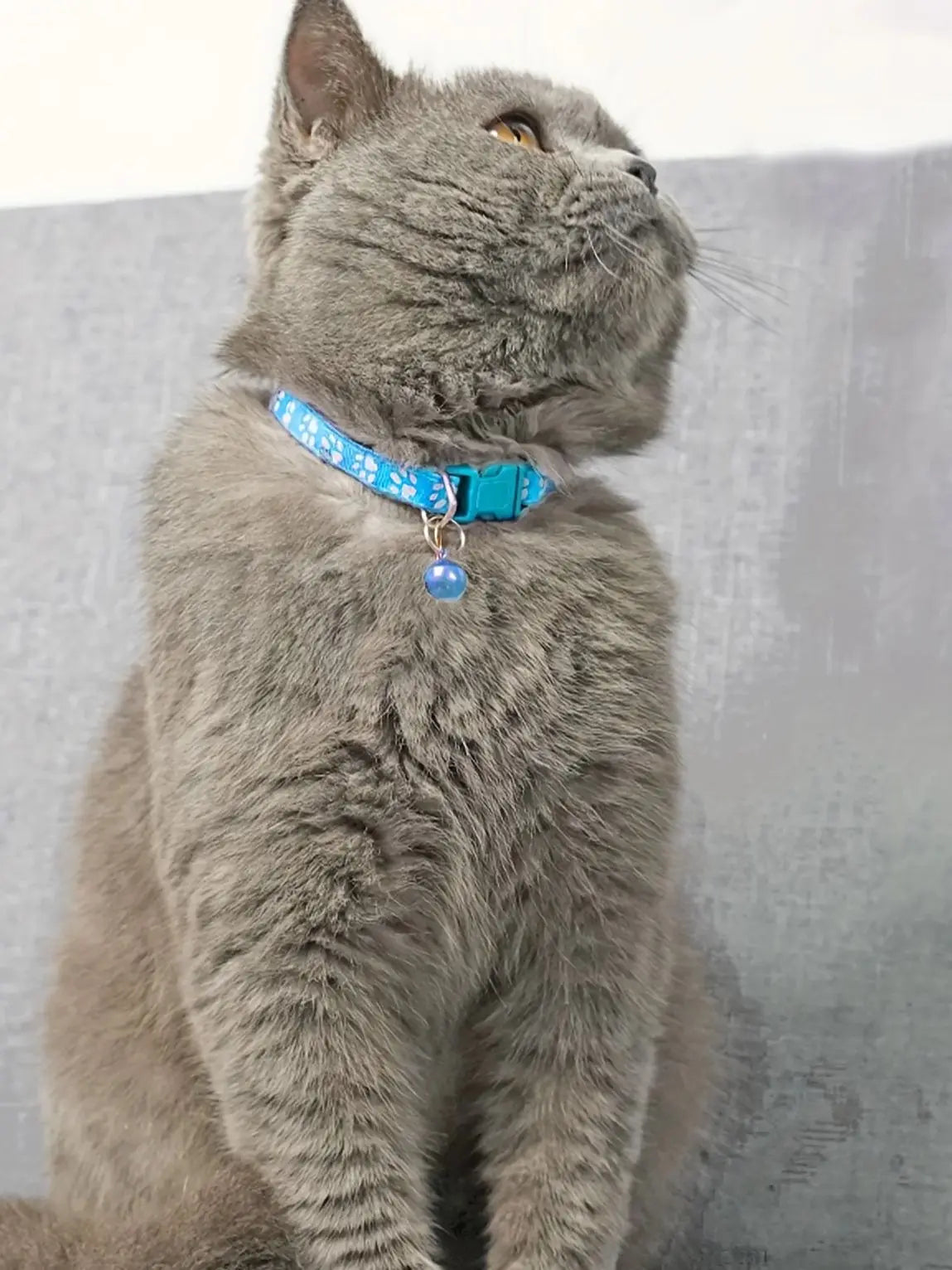 Collar de Moda para Gatos, con Patrón Colorido y Campana, Ajustable, para Gatos y Gatitos, Collar con Anillo DIY, Accesorios para Mascotas