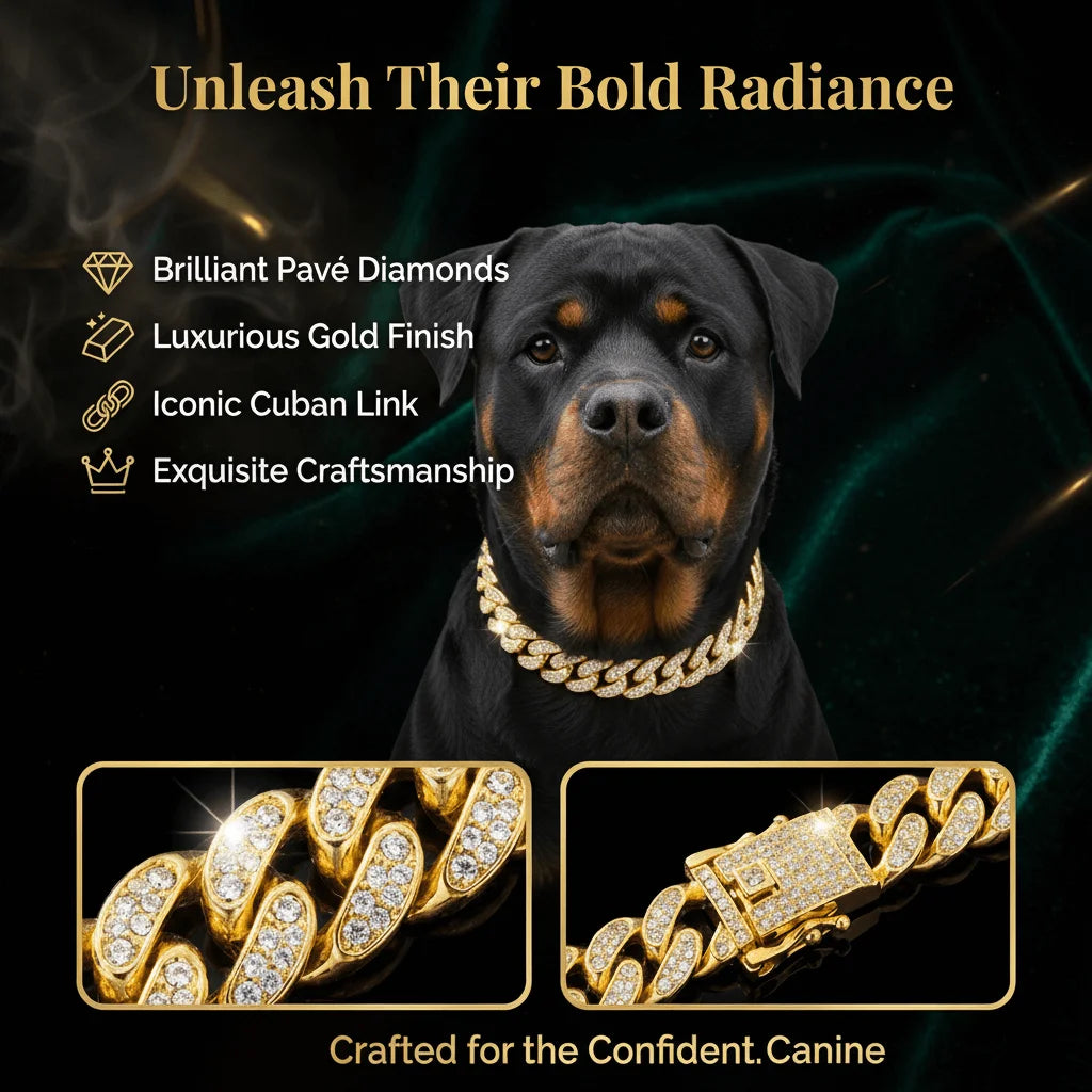 Collar de perro de Hip Hop de lujo, cadena cubana de acero inoxidable en tono dorado, joyería duradera para mascotas con incrustaciones de diamantes para caminar a diario