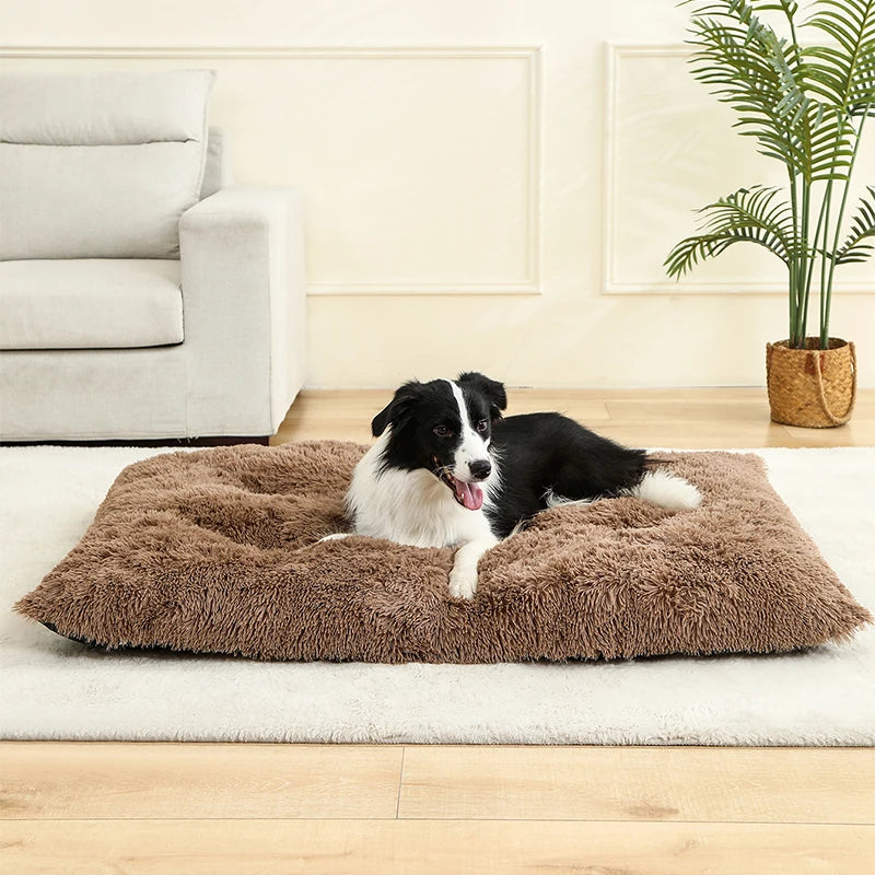 Camas suaves para perros, casa de felpa larga y suave, la mejor cama para perros, cesta para perros, productos para mascotas, cojín, cama para gatos, estera para gatos, sofá para dormir para animales